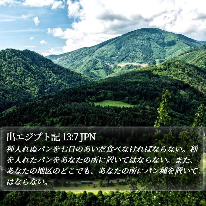 出エジプト記 13:7 JPN Bible Study