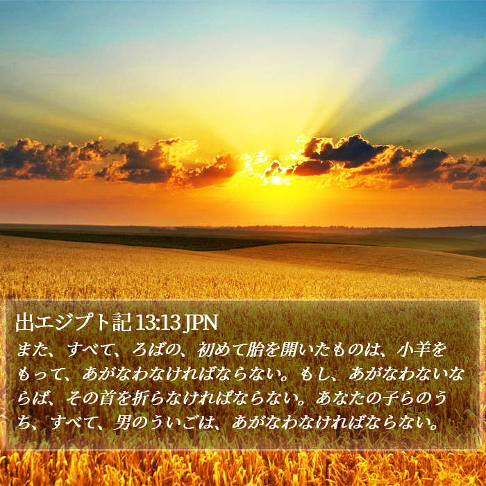 出エジプト記 13:13 JPN Bible Study