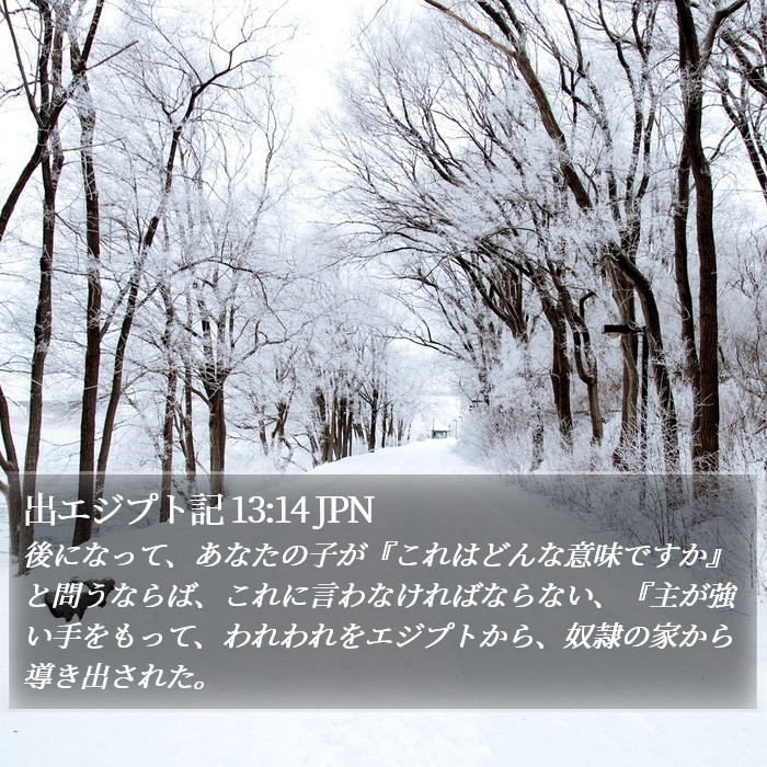 出エジプト記 13:14 JPN Bible Study