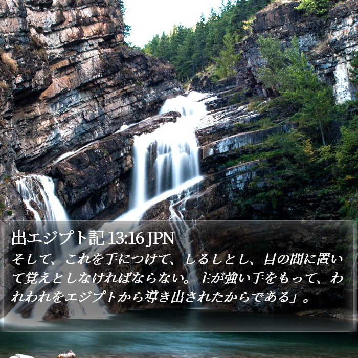 出エジプト記 13:16 JPN Bible Study