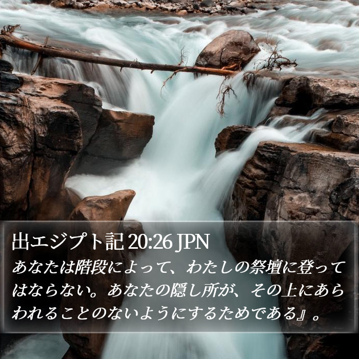 出エジプト記 20:26 JPN Bible Study