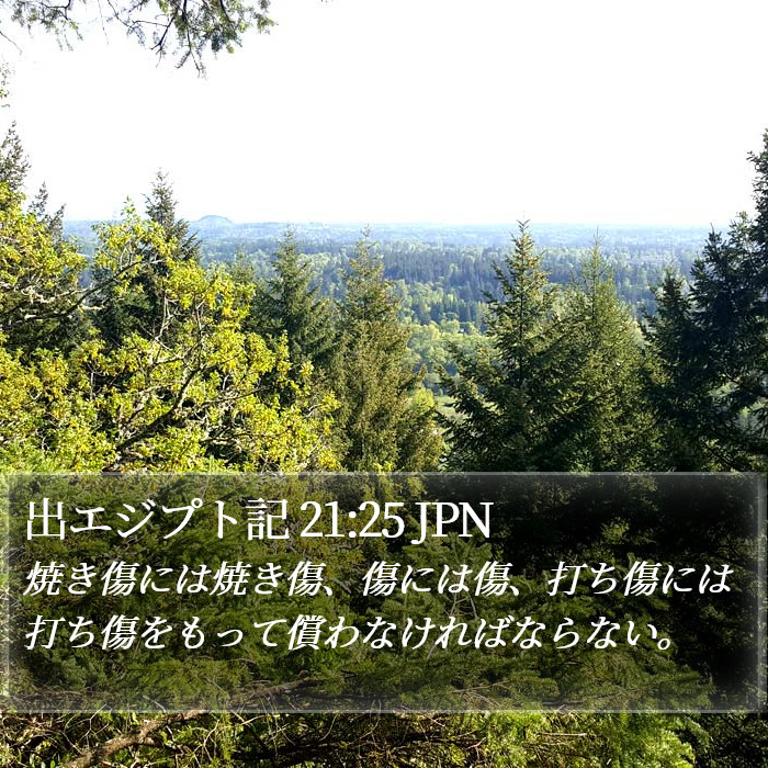 出エジプト記 21:25 JPN Bible Study