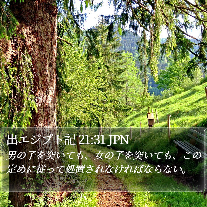 出エジプト記 21:31 JPN Bible Study