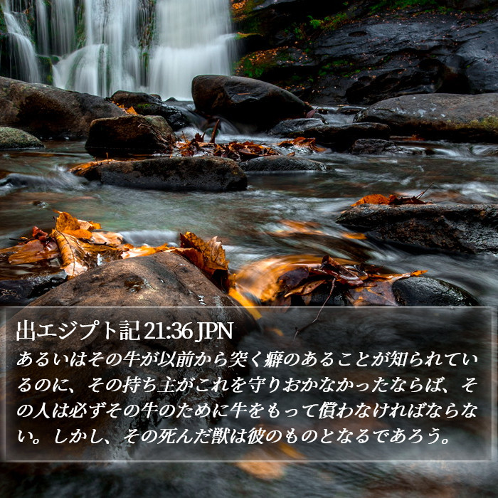出エジプト記 21:36 JPN Bible Study