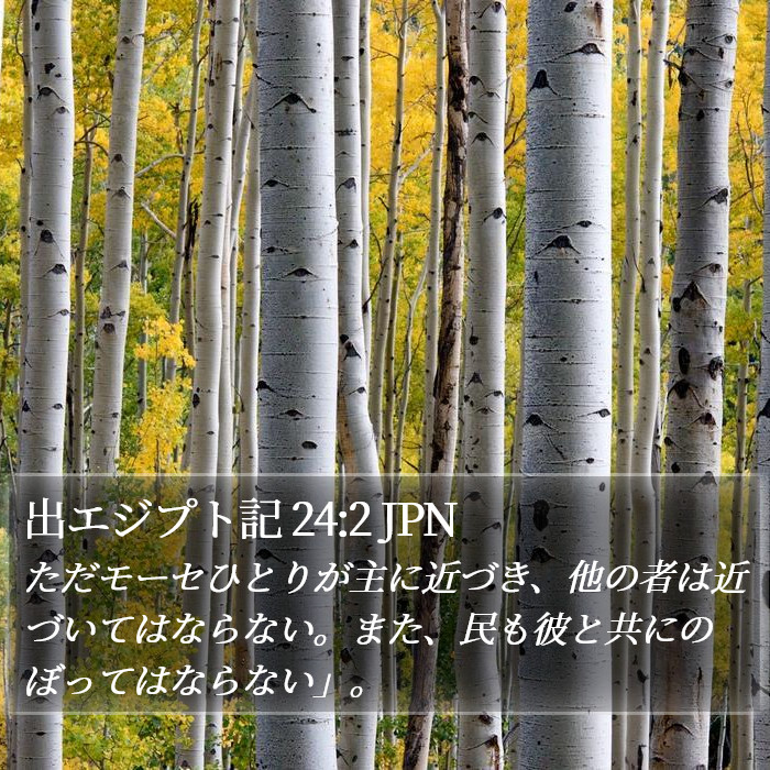 出エジプト記 24:2 JPN Bible Study