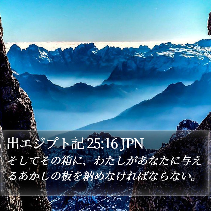 出エジプト記 25:16 JPN Bible Study