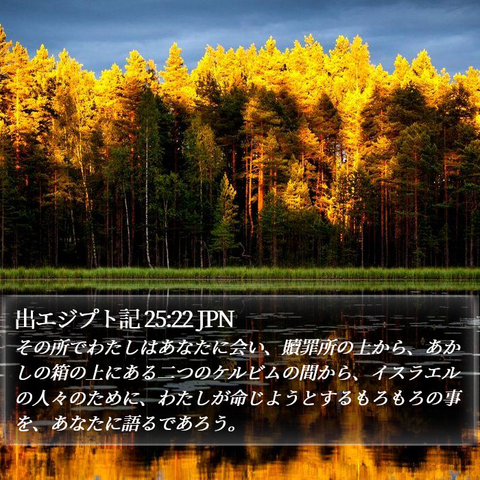 出エジプト記 25:22 JPN Bible Study