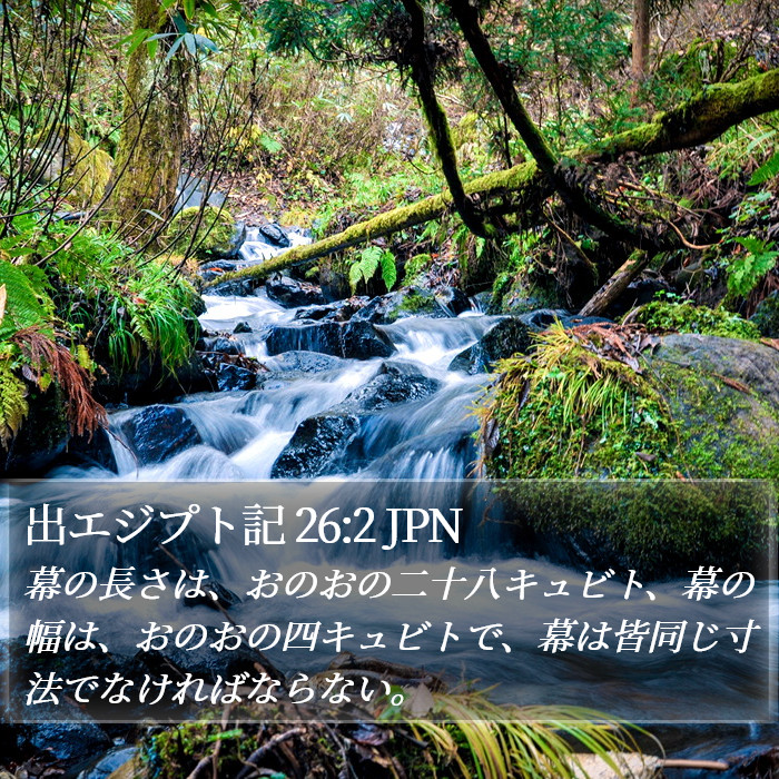 出エジプト記 26:2 JPN Bible Study