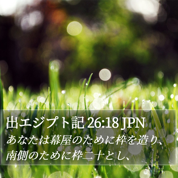 出エジプト記 26:18 JPN Bible Study