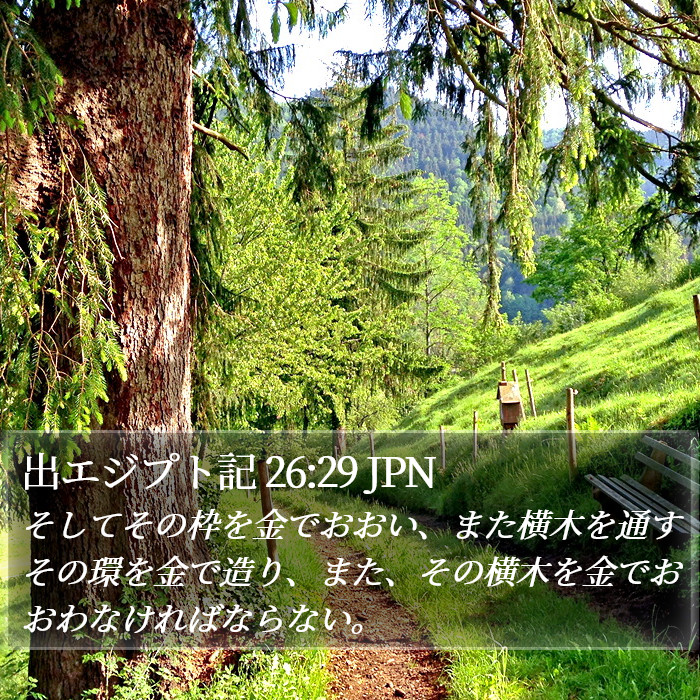 出エジプト記 26:29 JPN Bible Study