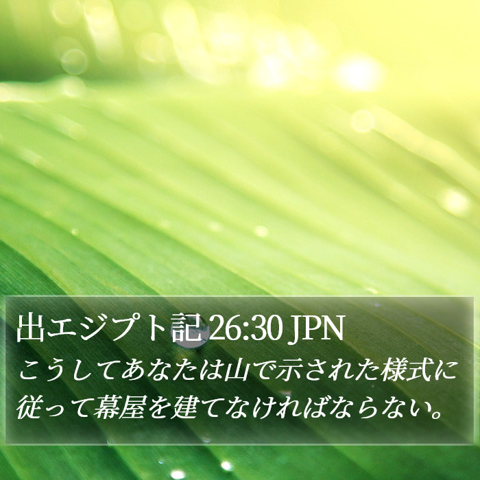 出エジプト記 26:30 JPN Bible Study