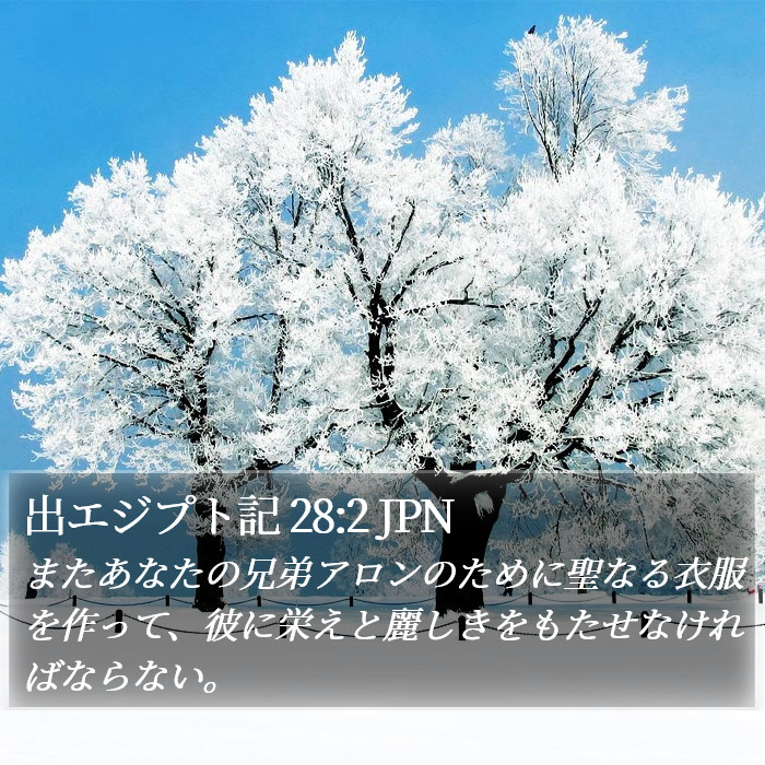 出エジプト記 28:2 JPN Bible Study