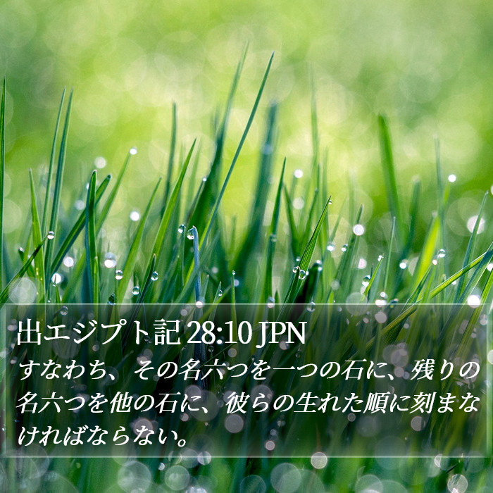 出エジプト記 28:10 JPN Bible Study