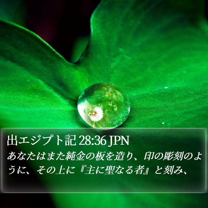 出エジプト記 28:36 JPN Bible Study