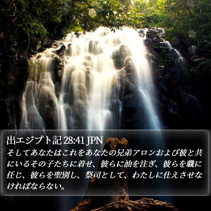 出エジプト記 28:41 JPN Bible Study