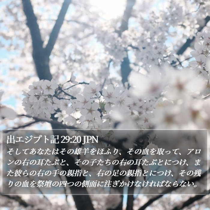 出エジプト記 29:20 JPN Bible Study