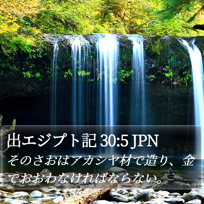 出エジプト記 30:5 JPN Bible Study