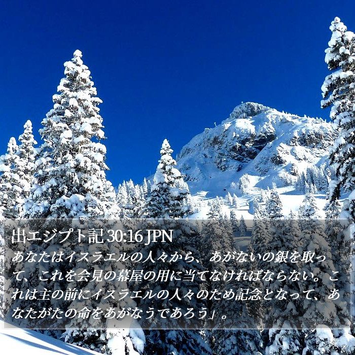 出エジプト記 30:16 JPN Bible Study