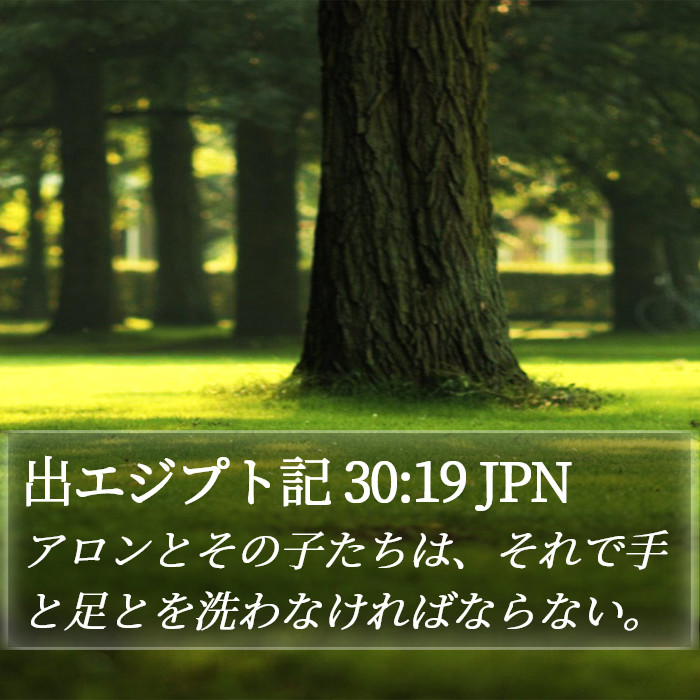 出エジプト記 30:19 JPN Bible Study