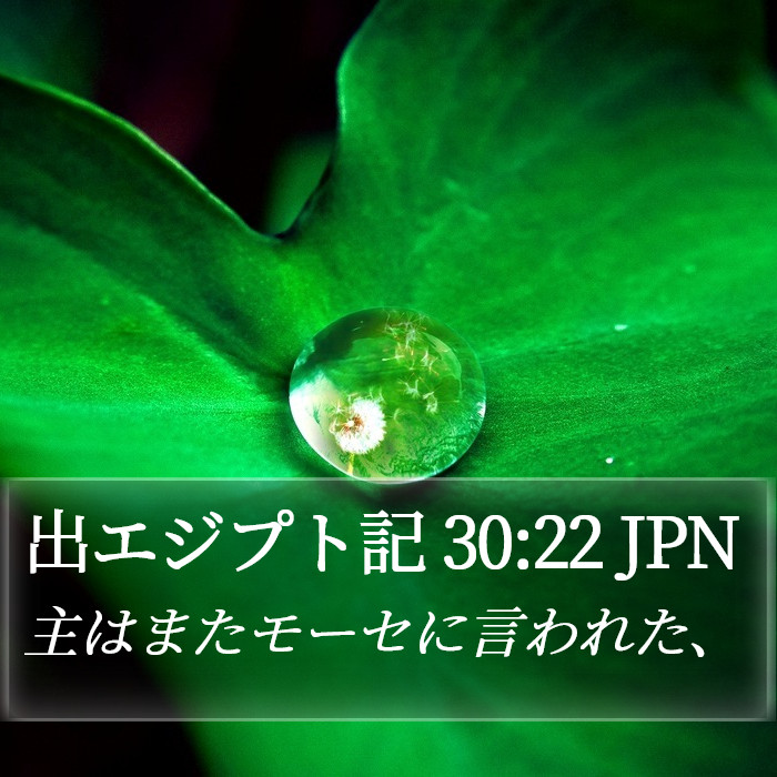 出エジプト記 30:22 JPN Bible Study