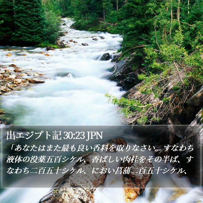 出エジプト記 30:23 JPN Bible Study