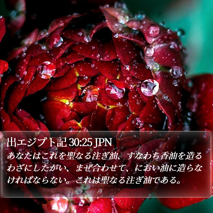 出エジプト記 30:25 JPN Bible Study
