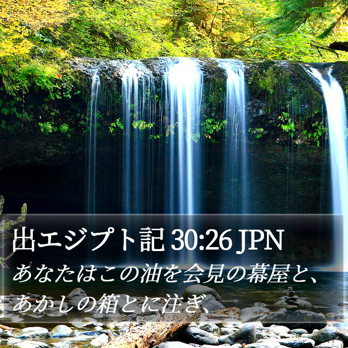 出エジプト記 30:26 JPN Bible Study