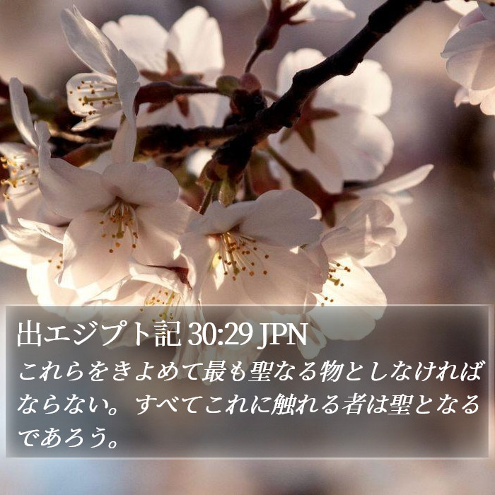 出エジプト記 30:29 JPN Bible Study
