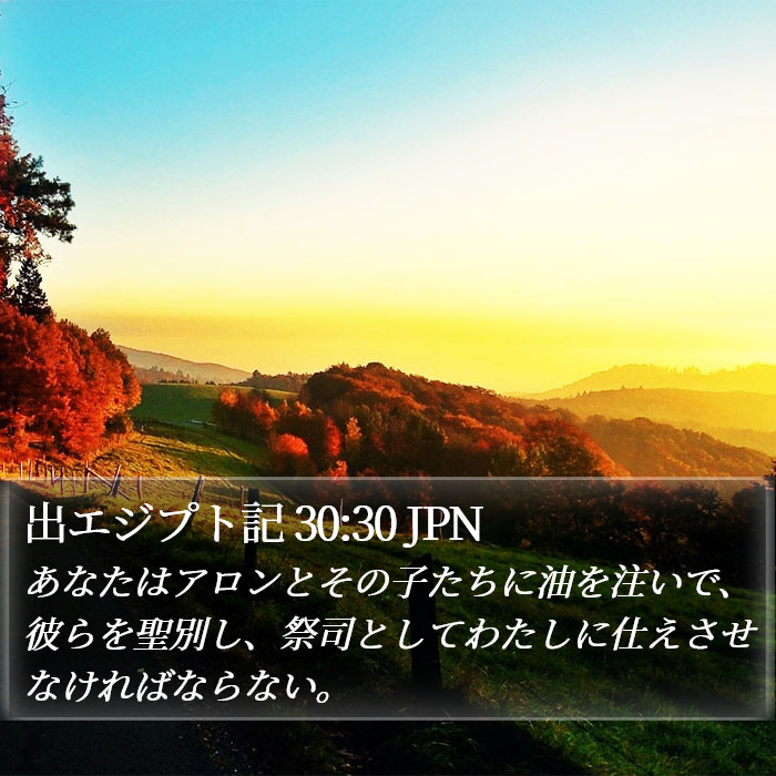 出エジプト記 30:30 JPN Bible Study