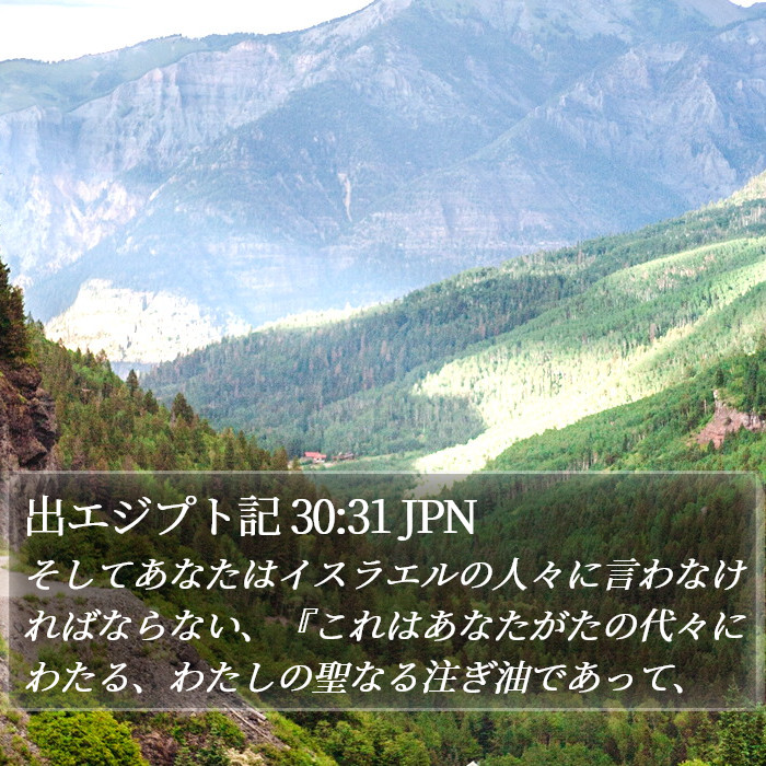 出エジプト記 30:31 JPN Bible Study