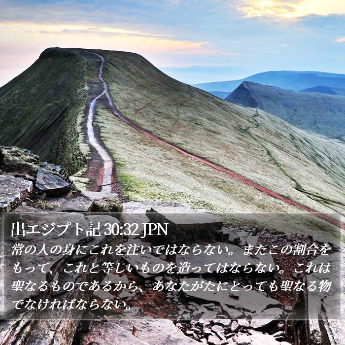 出エジプト記 30:32 JPN Bible Study
