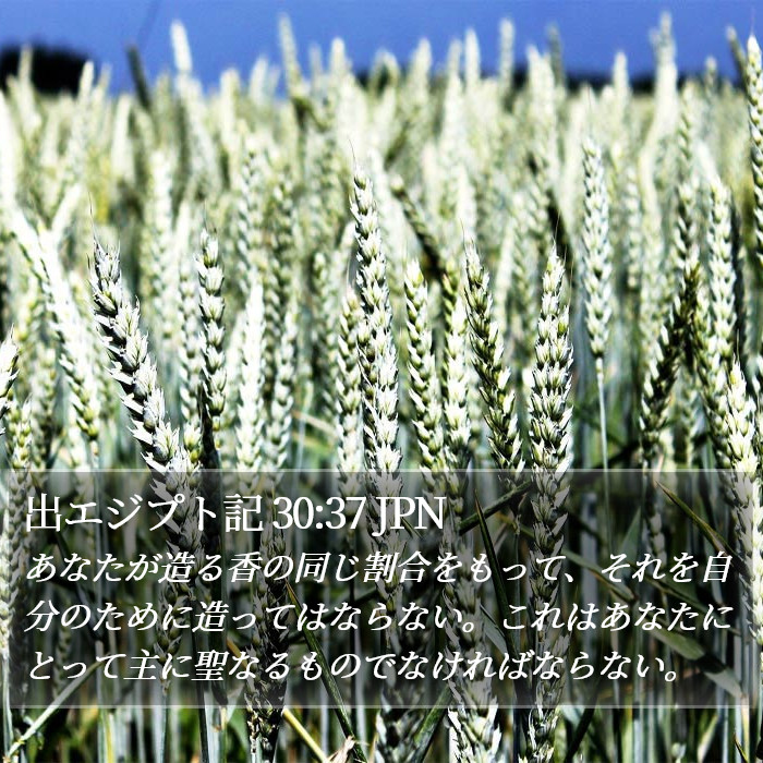 出エジプト記 30:37 JPN Bible Study