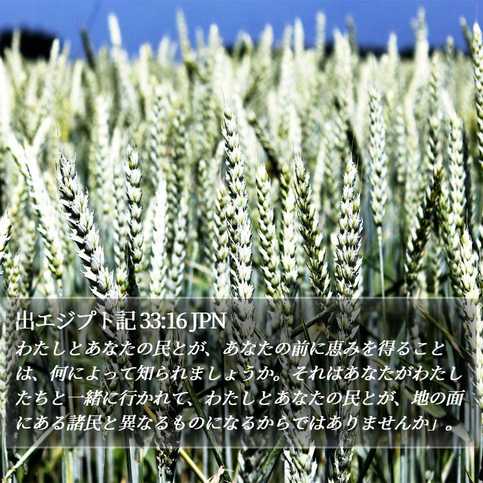 出エジプト記 33:16 JPN Bible Study