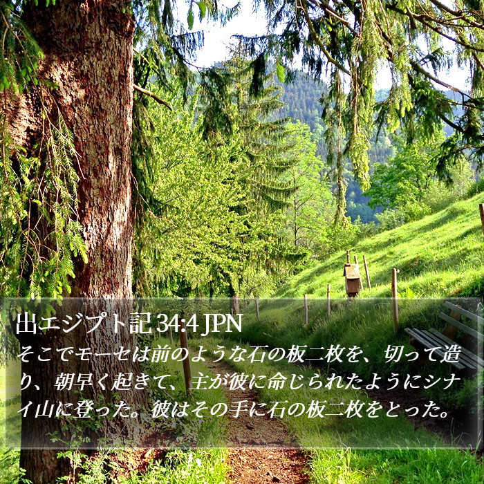 出エジプト記 34:4 JPN Bible Study