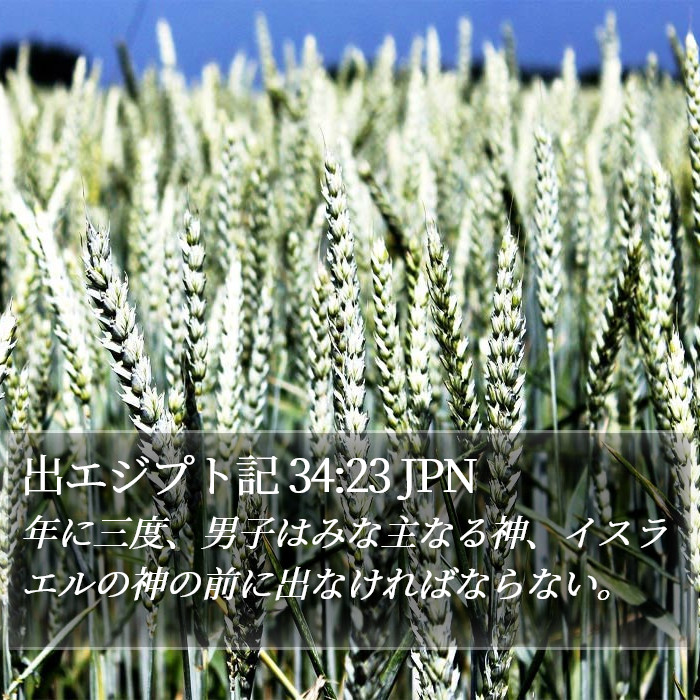 出エジプト記 34:23 JPN Bible Study