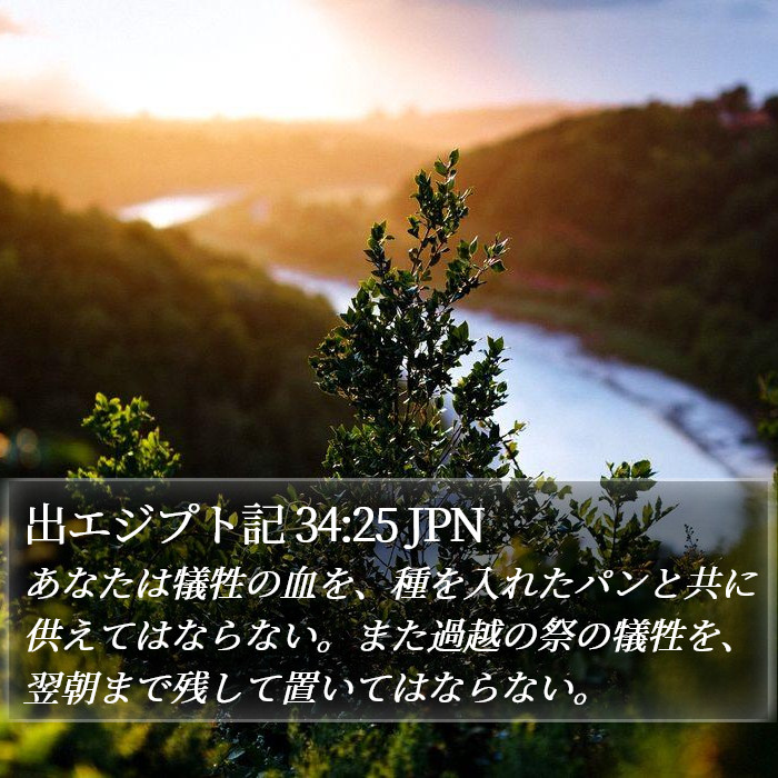 出エジプト記 34:25 JPN Bible Study