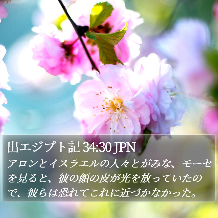 出エジプト記 34:30 JPN Bible Study