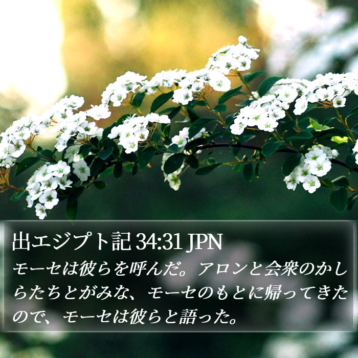 出エジプト記 34:31 JPN Bible Study