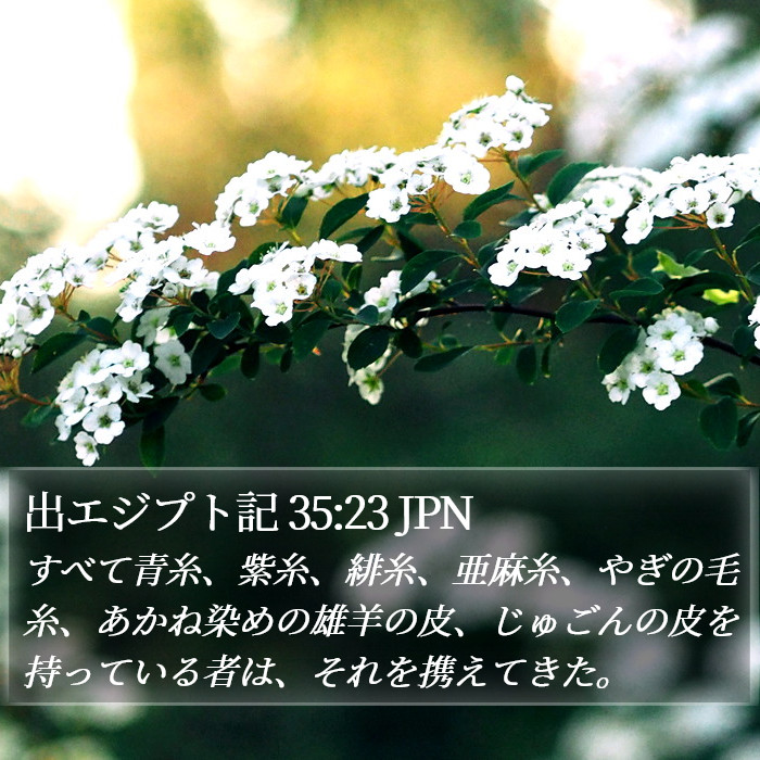 出エジプト記 35:23 JPN Bible Study