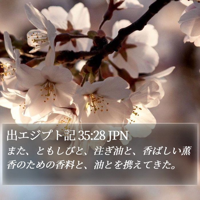 出エジプト記 35:28 JPN Bible Study