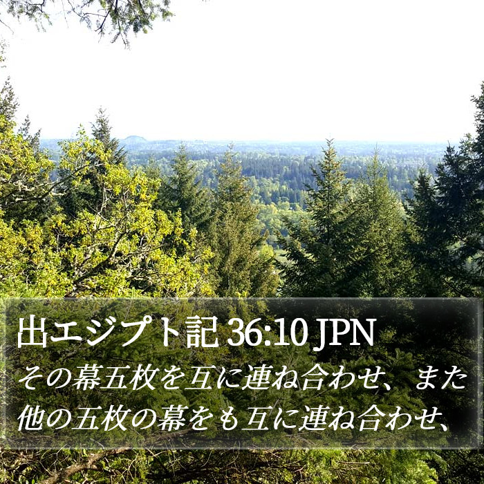出エジプト記 36:10 JPN Bible Study