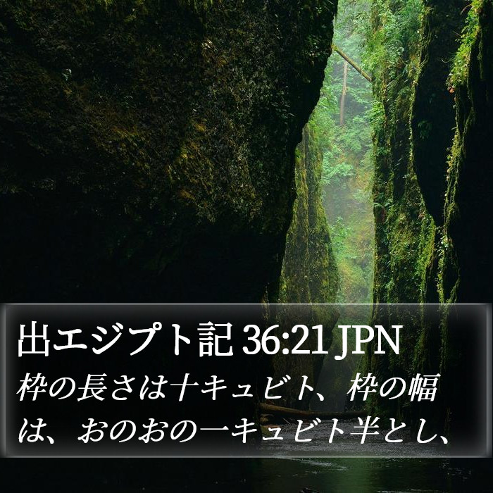 出エジプト記 36:21 JPN Bible Study
