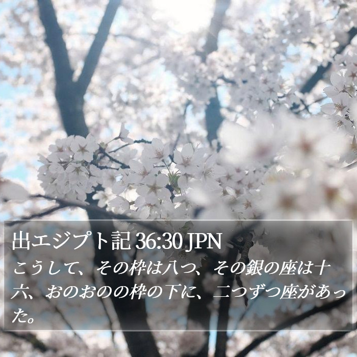出エジプト記 36:30 JPN Bible Study
