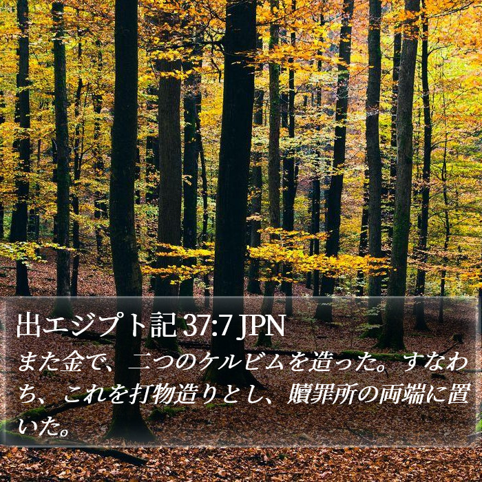 出エジプト記 37:7 JPN Bible Study