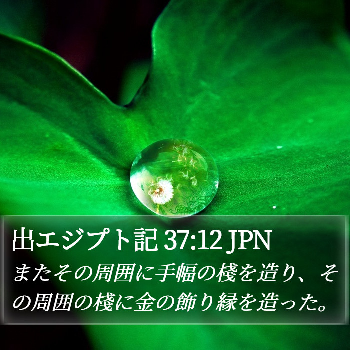 出エジプト記 37:12 JPN Bible Study
