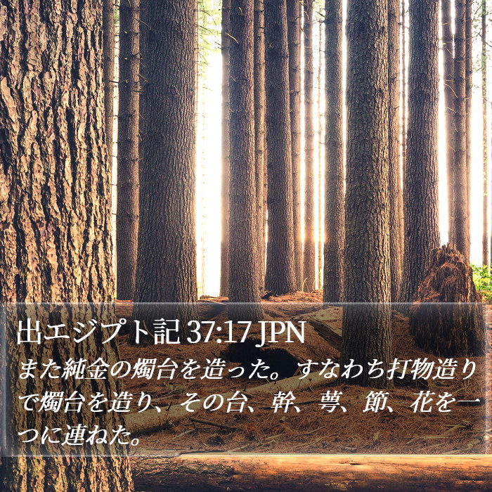 出エジプト記 37:17 JPN Bible Study