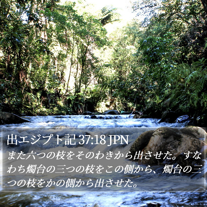 出エジプト記 37:18 JPN Bible Study