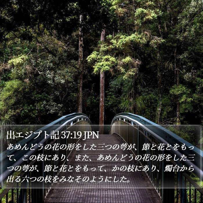 出エジプト記 37:19 JPN Bible Study