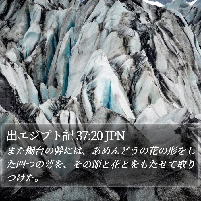 出エジプト記 37:20 JPN Bible Study