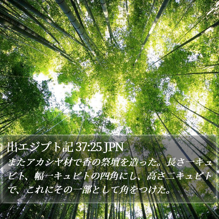 出エジプト記 37:25 JPN Bible Study